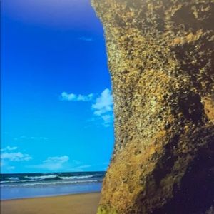 Meet your Posher, Grant